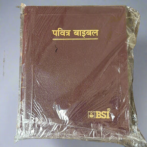 Hindi Holy Bible O.V. Re-edited edition, YAP, large Print.