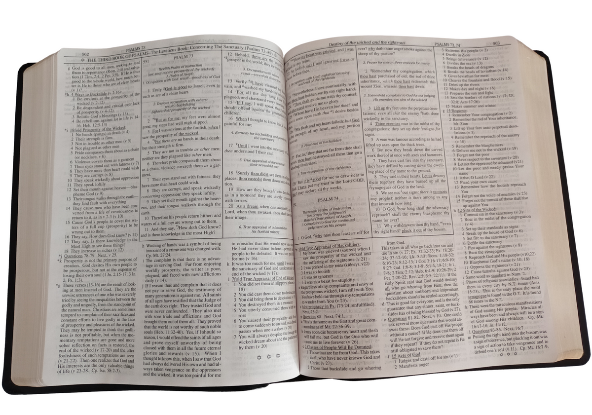 Dake Annotated Reference Bible KJV Leather Soft Black Large Print edit ...