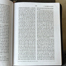 Load image into Gallery viewer, Hindi Holy Bible O.V. Re-edited edition, YAP, large Print.
