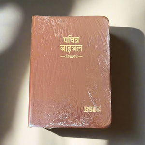 Hindi Holy Bible Compact Edition Yapp (Amity) Indexed (OV)