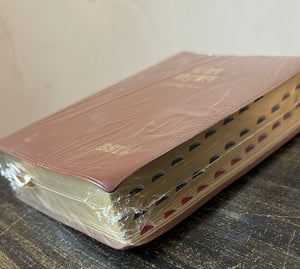 Hindi Holy Bible Compact Edition Yapp (Amity) Indexed (OV)