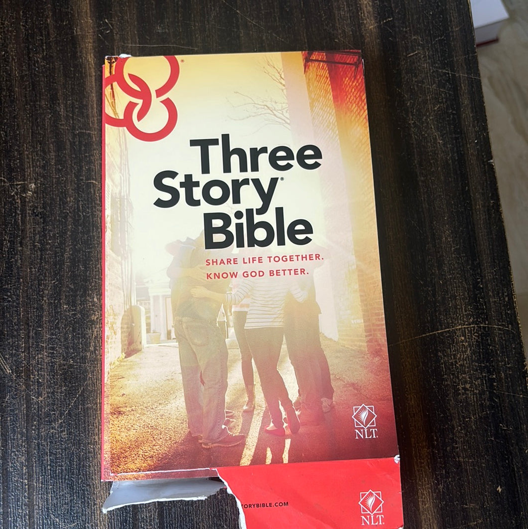 Clearance sale 2024! NLT Three Story Bible Paperback – Import