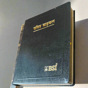 Hindi Holy Bible O.V. Re-edited edition, YAP, large Print.