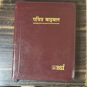 Hindi Holy Bible O.V. Re-edited edition, YAP, large Print.