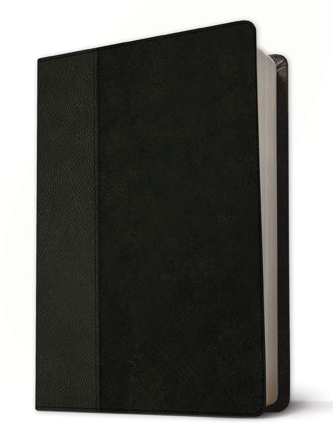 Clearance sale 2024! NLT Life Recovery Bible, Second Edition, Personal Size (Leatherlike, Black/Onyx) Imitation Leather – Import,