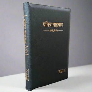 Hindi Holy Bible Missionary edition Zip, Leather Look, Amity Indexed.