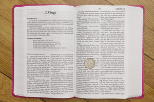 NIrV, Holy Bible, Large Print, Leathersoft, Pink Imitation Leather