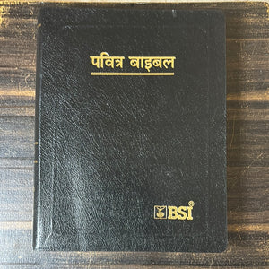 Hindi Holy Bible O.V. Re-edited edition, YAP, large Print.