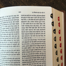 Load image into Gallery viewer, Hindi Holy Bible Compact Edition Yapp (Amity) Indexed (OV)
