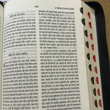 Load image into Gallery viewer, Hindi Holy Bible Missionary edition Zip, Leather Look, Amity Indexed.
