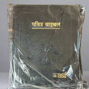 Hindi Holy Bible O.V. Re-edited edition, YAP, large Print.