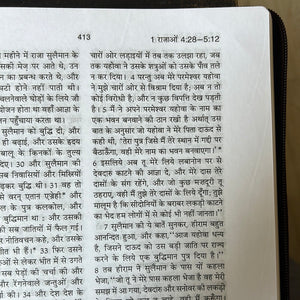 Hindi Holy Bible O.V. Re-edited edition, YAP, large Print.