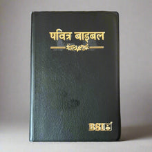 Load image into Gallery viewer, Hindi Holy Bible Crown Vinyl  NAP-03  edition, Leather Look.
