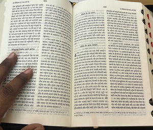 Hindi Holy Bible Missionary edition Zip, Leather Look, Amity Indexed.