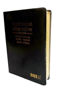 Bilingual Bible Punjabi-English – Royal BL Black Edition (NAP)