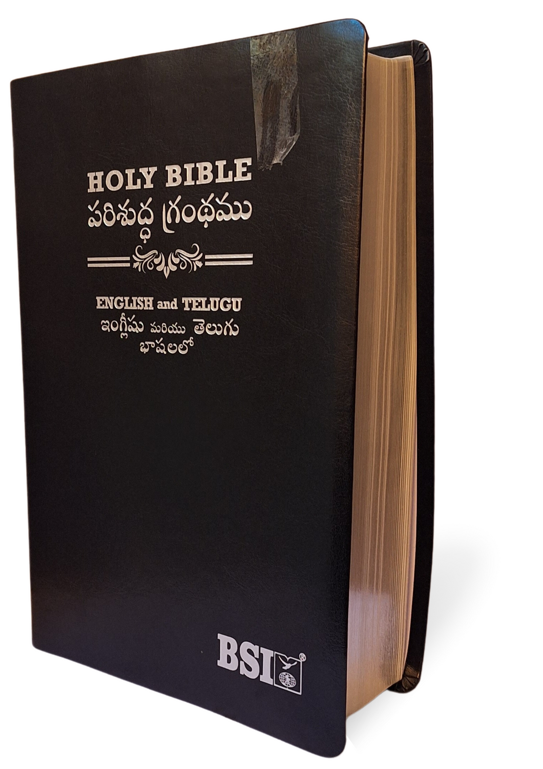 Bilingual Holy Bible, English and Telugu Diglot  Leather/Hardcover